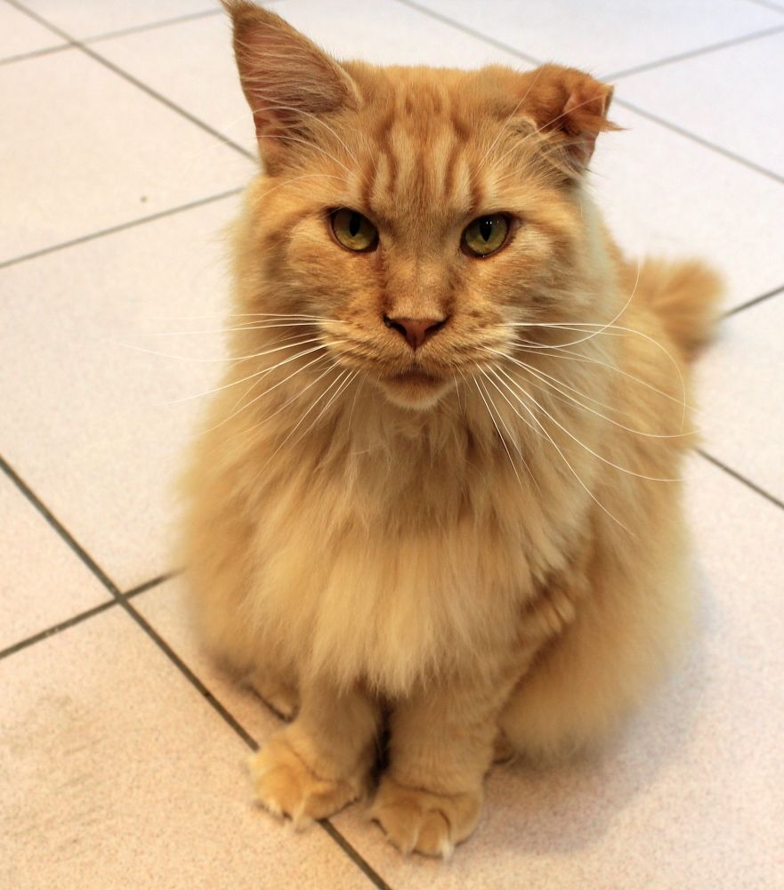 Photograph by Olga Bagaeva