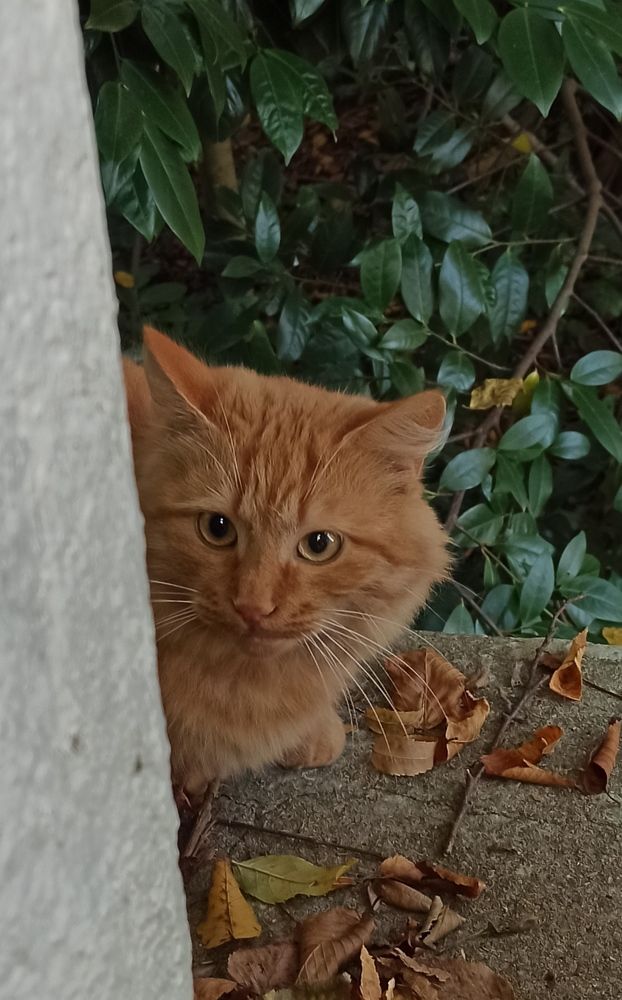 Photograph by Ольга Тихонова