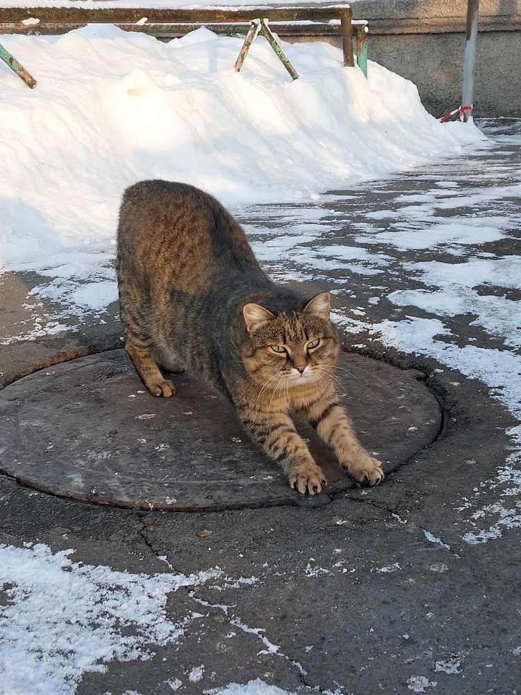 Photograph by Светлана Шиляева