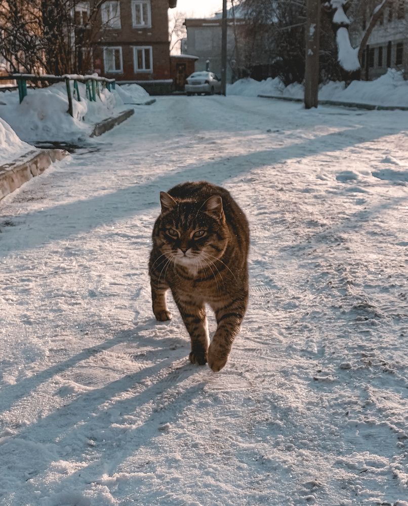 Photograph by Светлана Шиляева