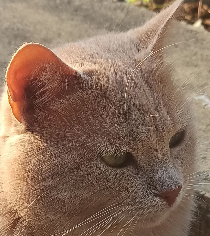 Photograph by Ольга Тихонова