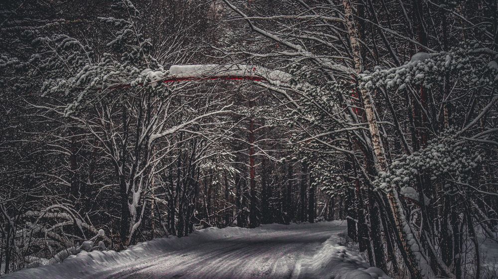 Photograph by Denis Bocharov