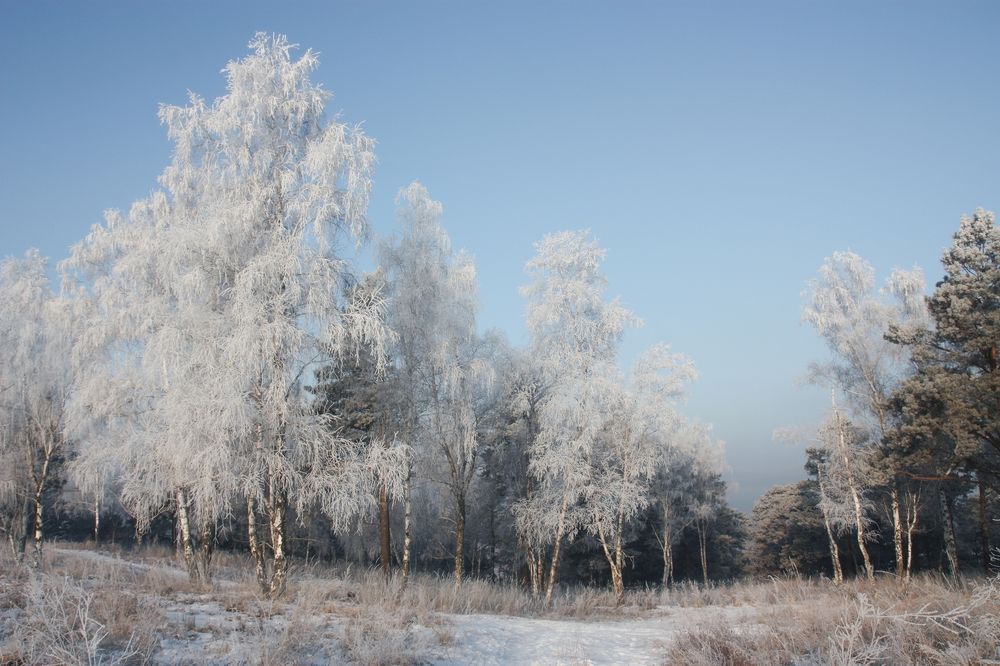 Photograph by Ольга Литвинцева