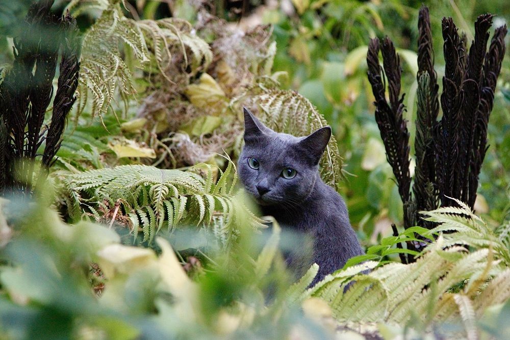 Photograph by Татьяна Шевцова