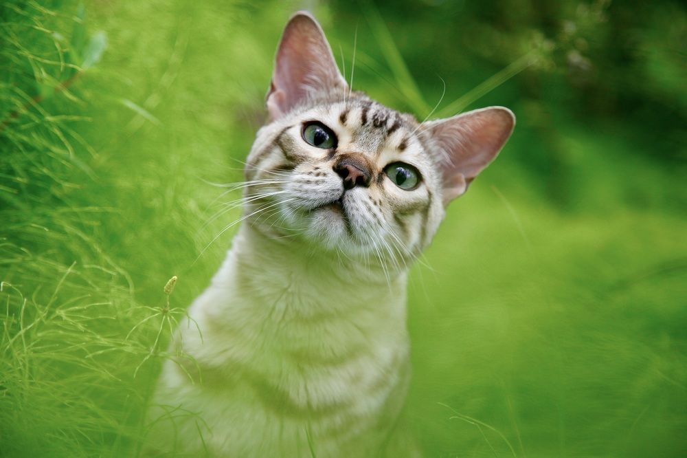 Photograph by Татьяна Шевцова