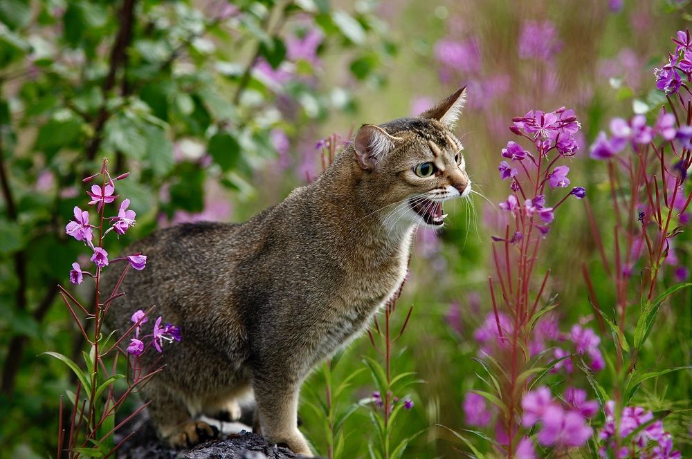 Photograph by Татьяна Шевцова