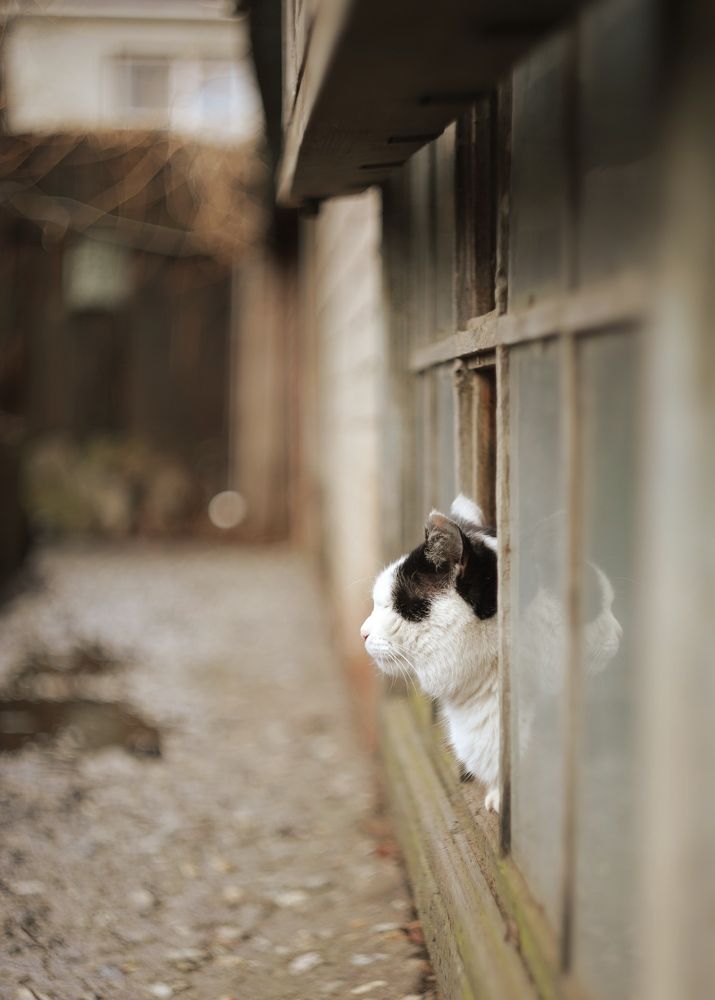 Photograph by Дарья Юсарева