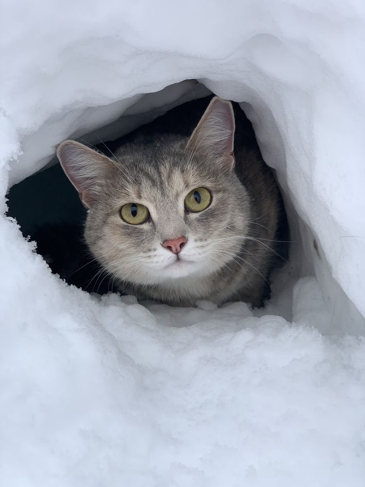 Photograph by гульназ замалеева