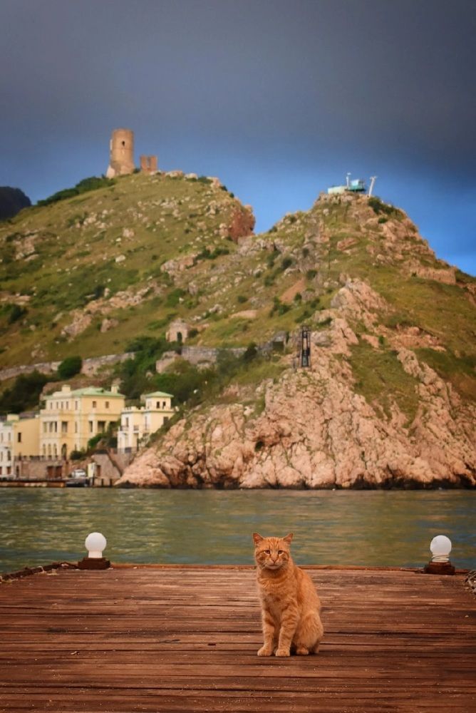 Photograph by Екатерина Гордеева