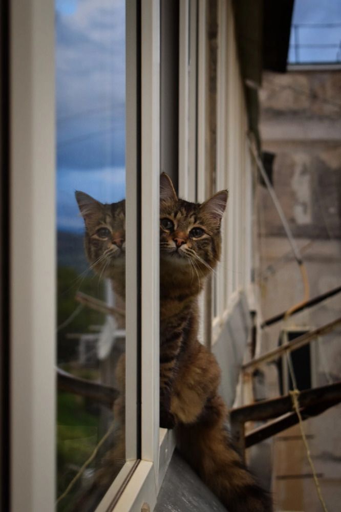 Photograph by Екатерина Гордеева