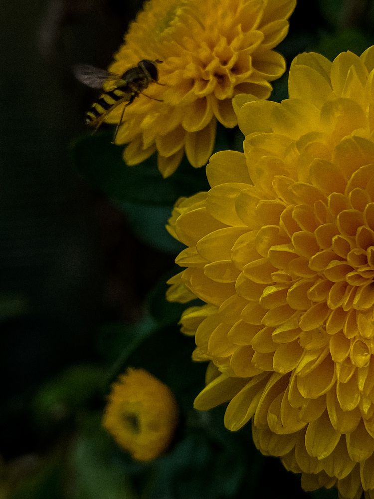 Photograph by Katya Guchenko