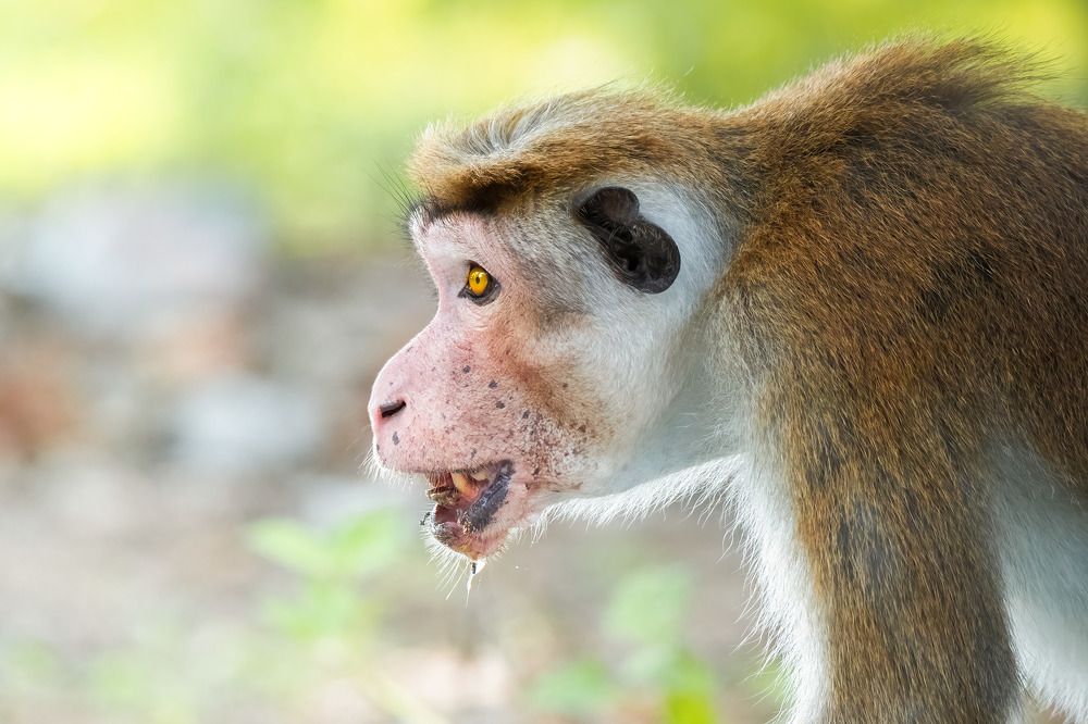 Photograph by Mohamed Raseem