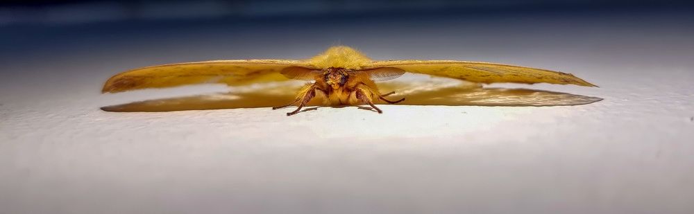 Фотография автора Sajeev Krishnan