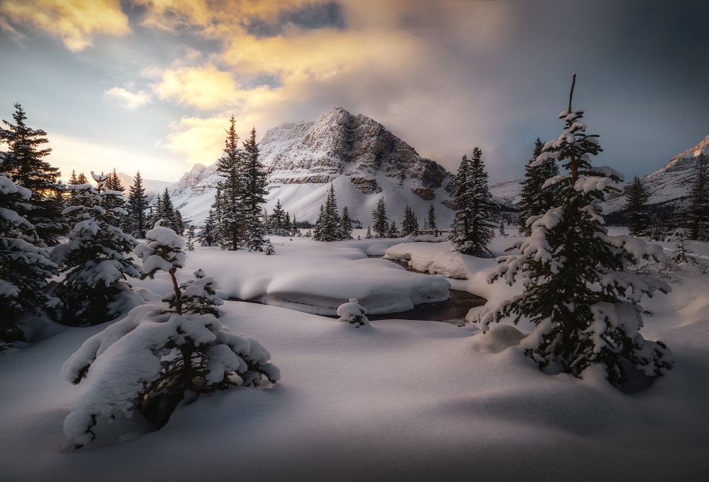 Photograph by Jinyi Han