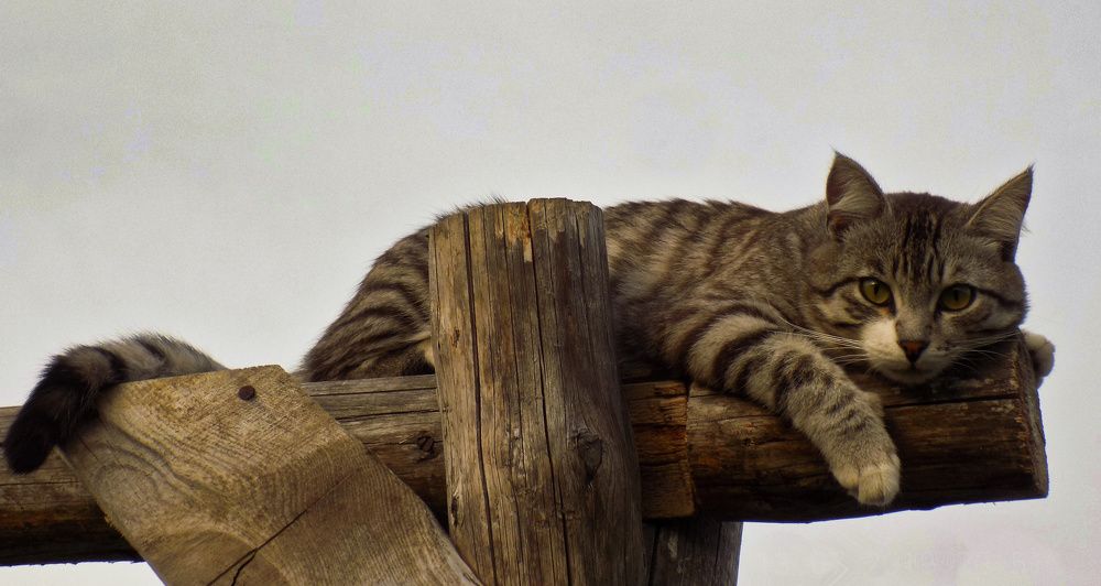 Photograph by Мария Гостева