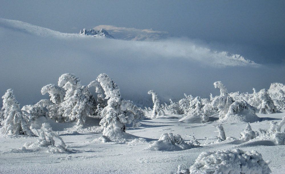 Photograph by Виктор Смирнов