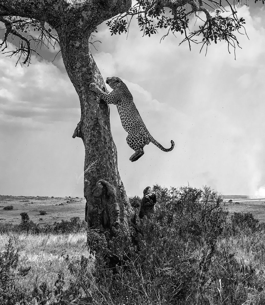 Photograph by Sajeev Krishnan