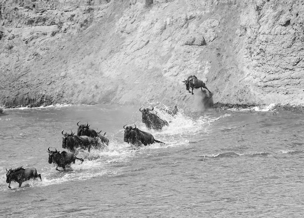 Фотография автора Sajeev Krishnan