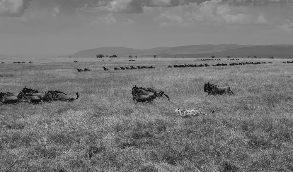 Фотография автора Sajeev Krishnan