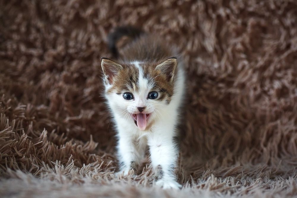 Photograph by Денис Будняк