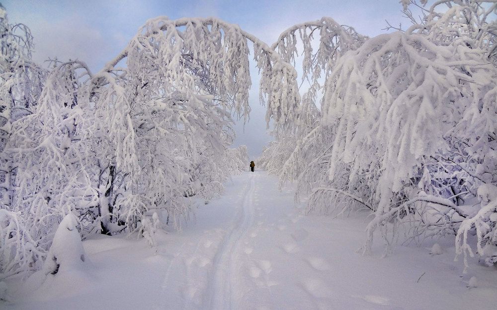 Photograph by Виктор Смирнов