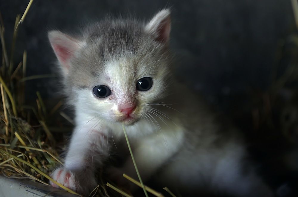 Photograph by Анатолий Святой