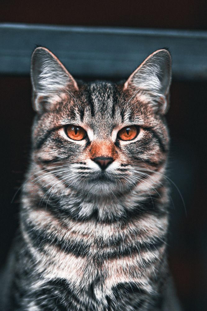 Photograph by Владислав Данилов