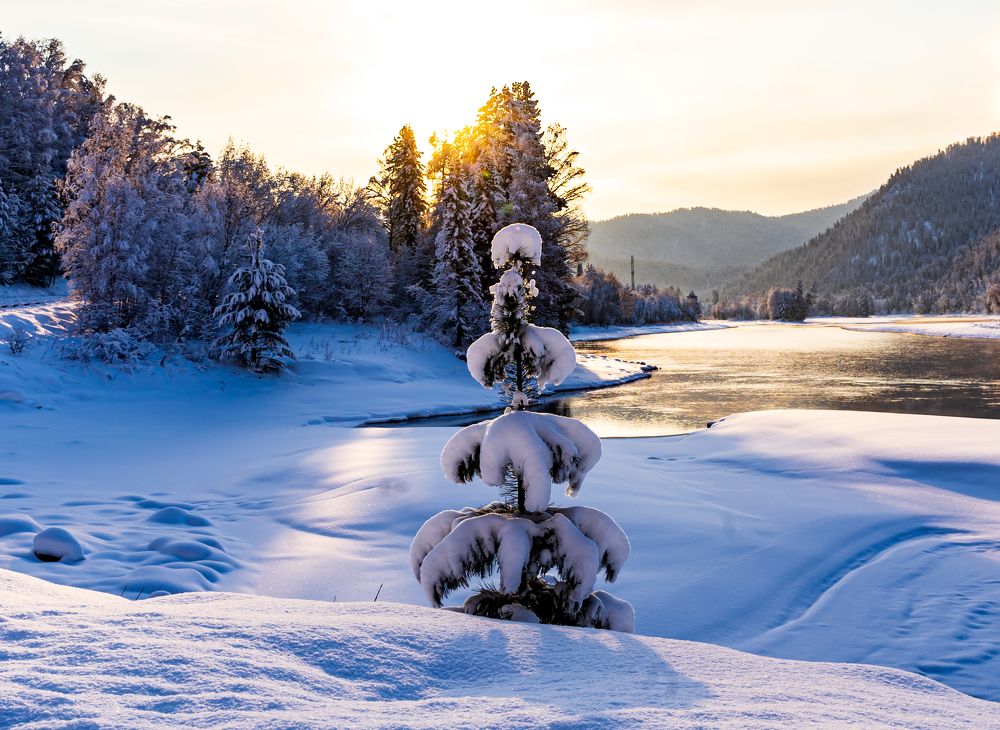 Photograph by Ольга Ченцова