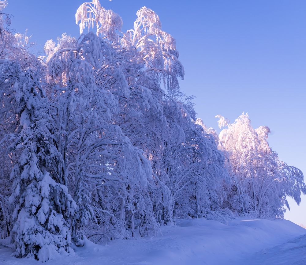 Photograph by Ольга Ченцова