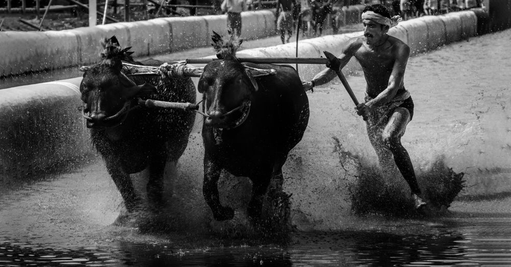 Photograph by sourav bhandari