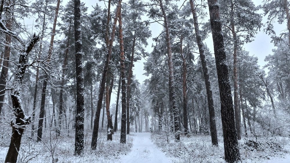 Photograph by Кристина Шляхова