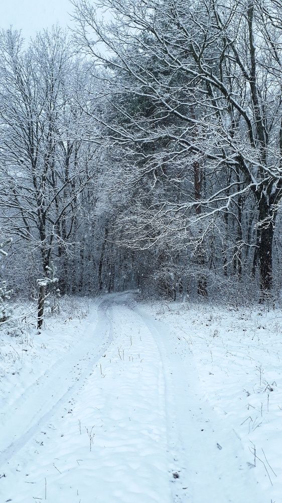 Photograph by Кристина Шляхова