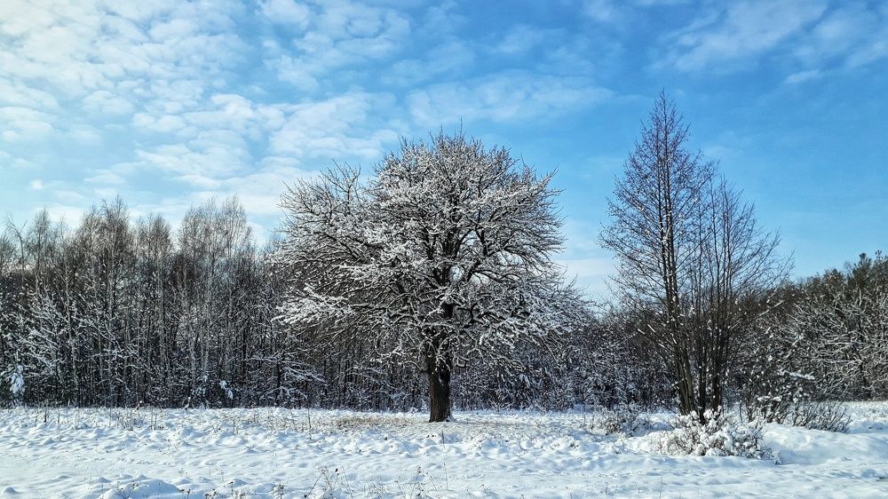 Photograph by Кристина Шляхова