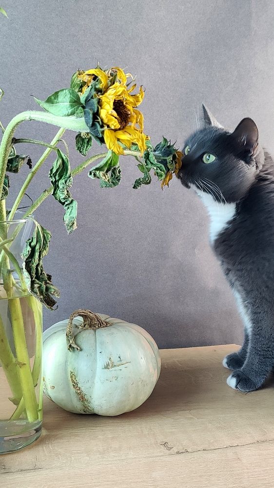 Photograph by Татьяна Гулакова