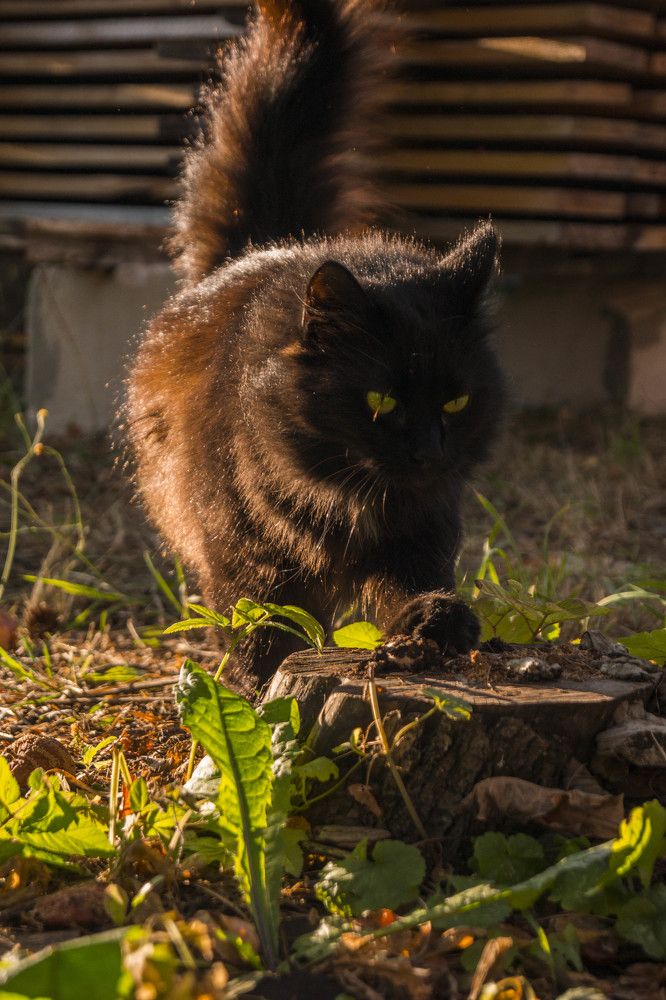 Photograph by Веденин Егор