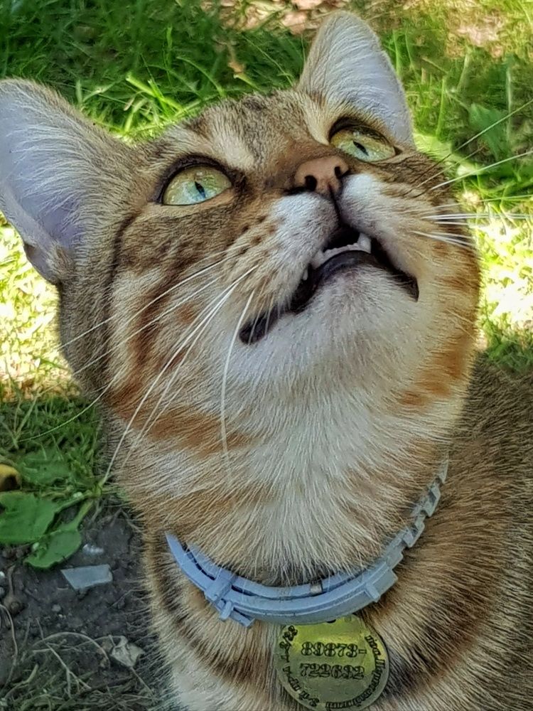 Photograph by Алла Никушкина