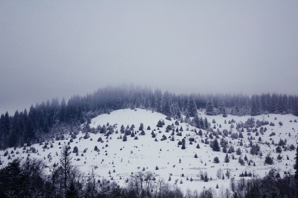 Photograph by Anastasya Beginina