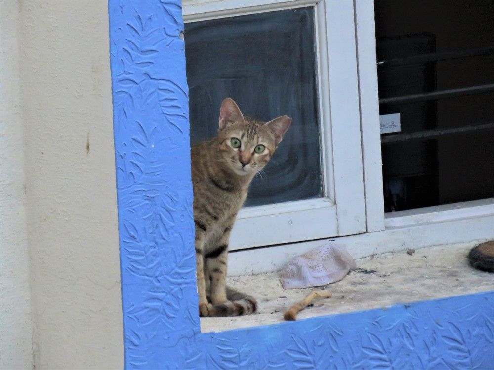 Photograph by ANISH BISWAS