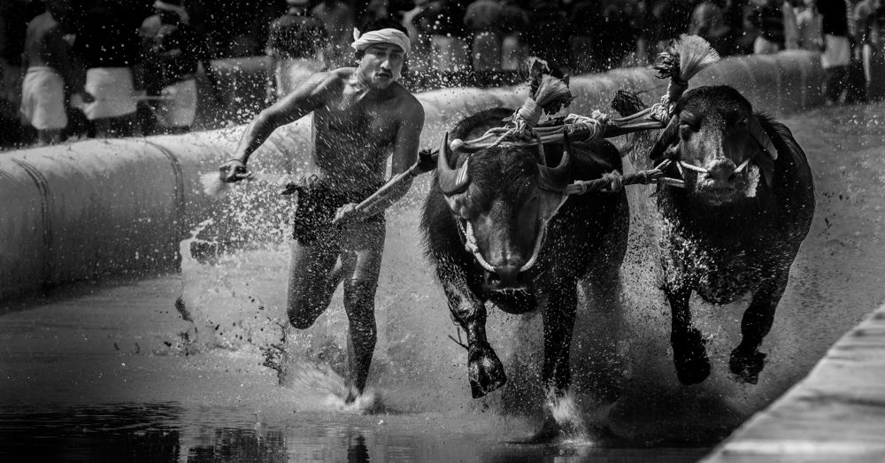 Photograph by sourav bhandari