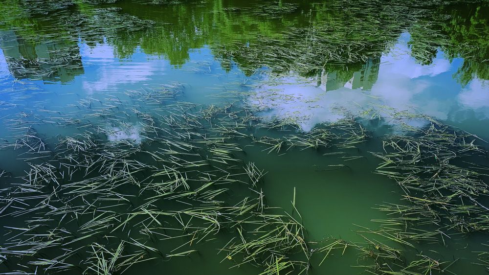 Photograph by Станислав Ситников