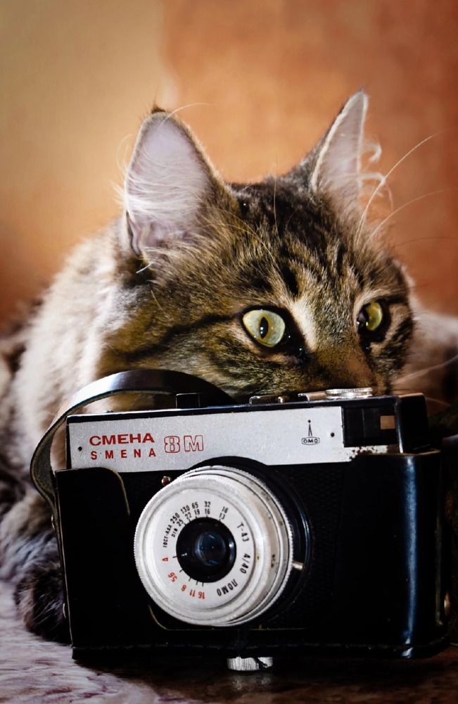 Photograph by Екатерина Гордеева