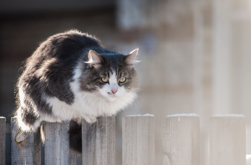 Photograph by Виталий Слёзка