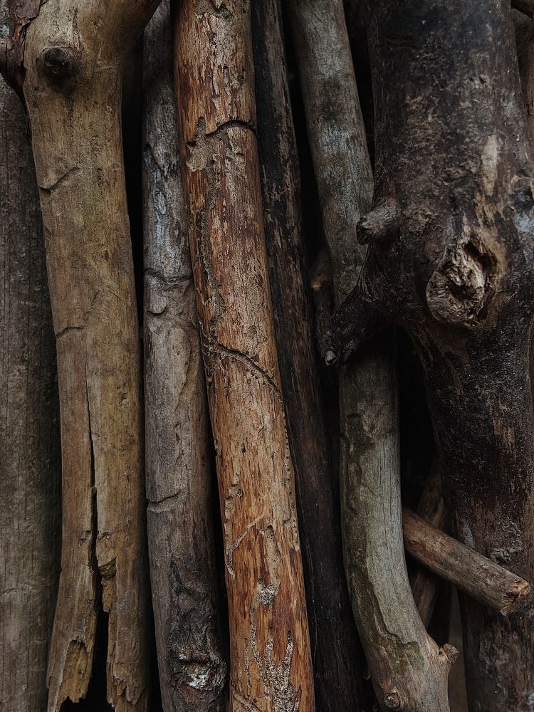 Photograph by Katya Guchenko