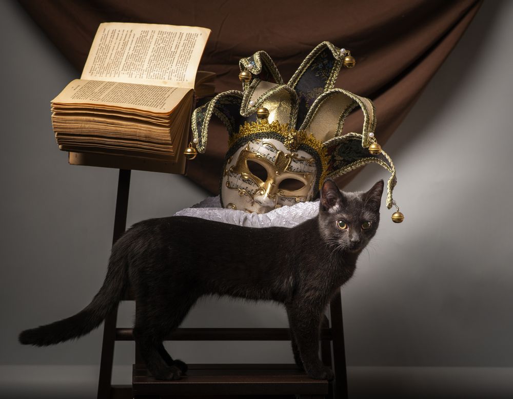 Photograph by Ирина Будниченко