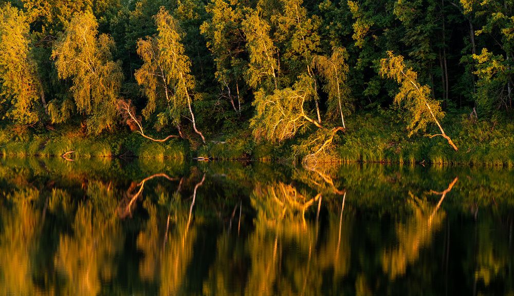 Photograph by Евгений Бушков