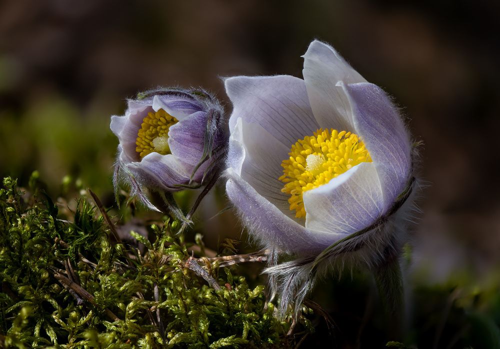 Photograph by Евгений Бушков