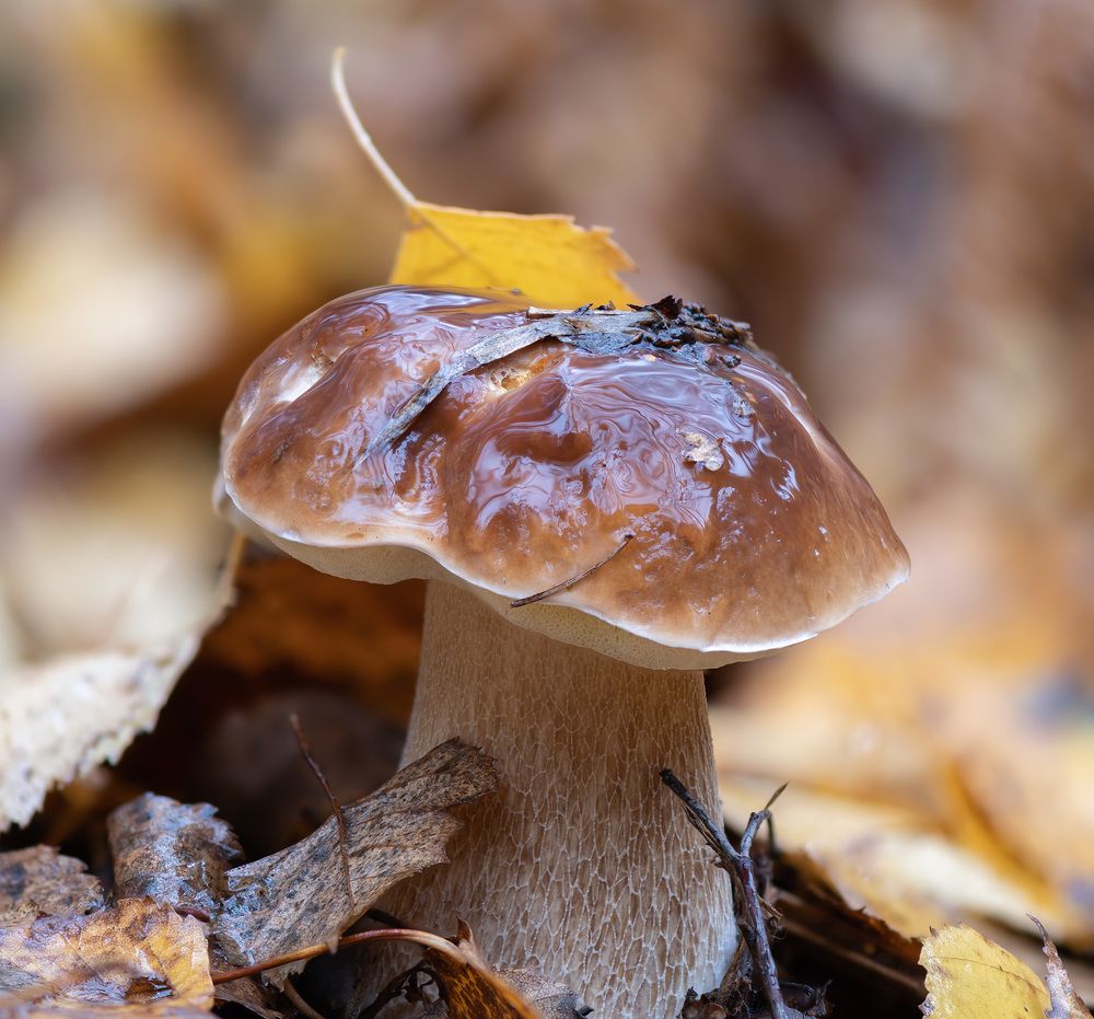 Photograph by Евгений Бушков