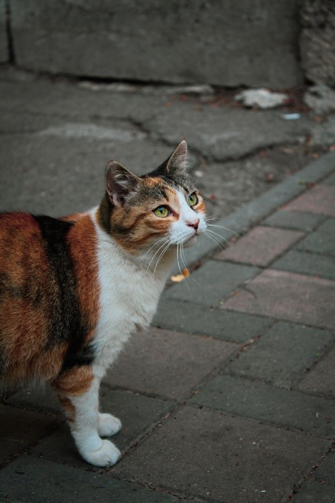 Photograph by Anastasya Beginina