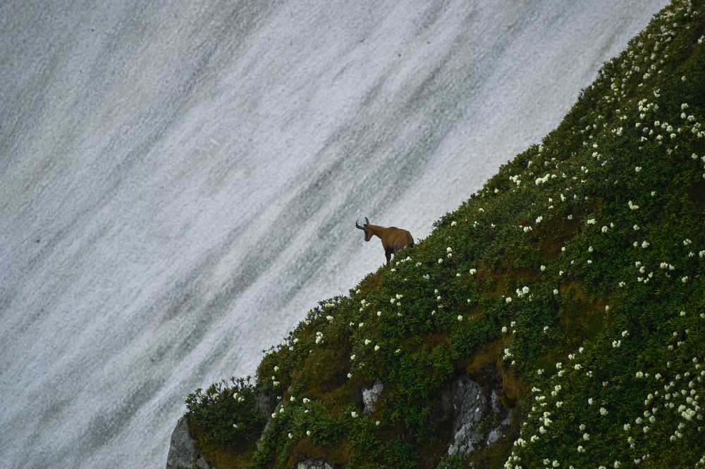 Photograph by Михаил Жарков