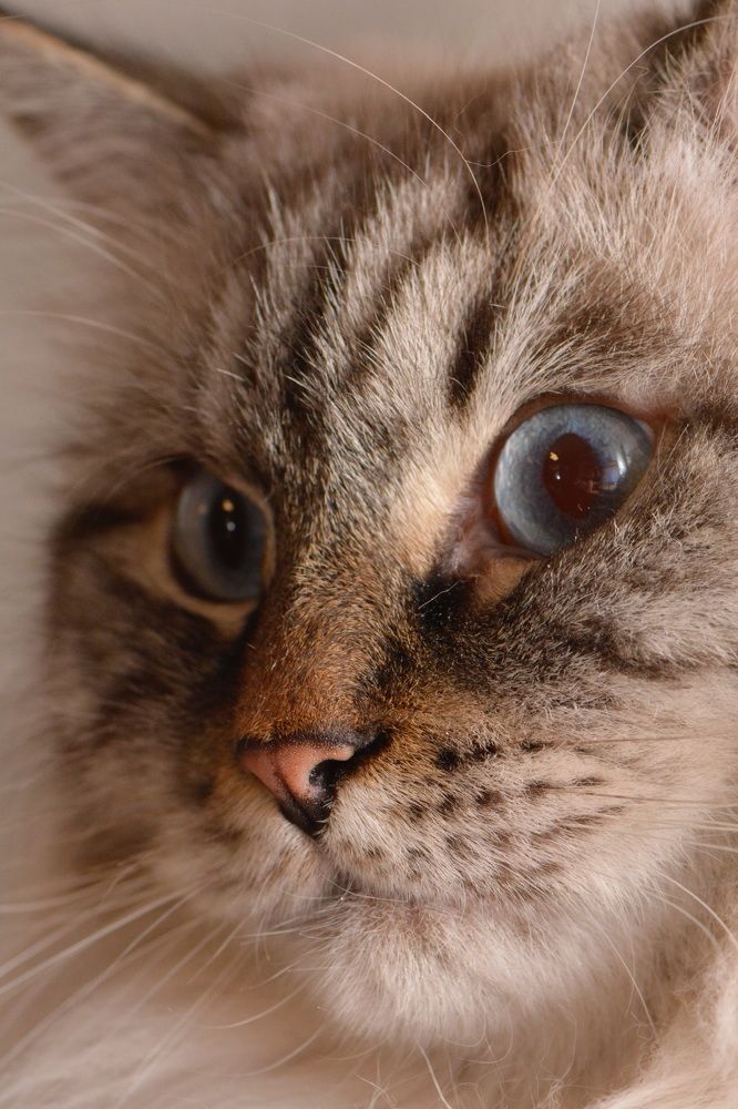 Photograph by Римма Большакова